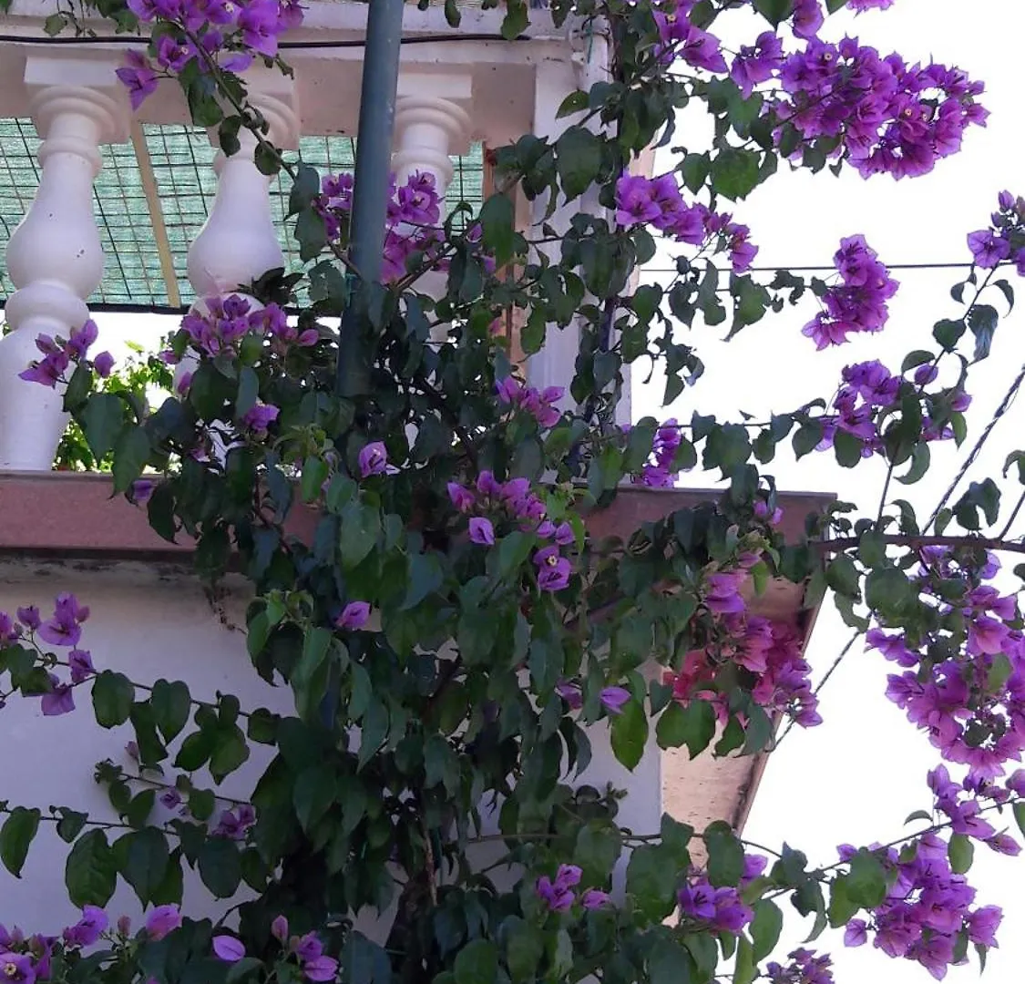 Apartment Ana Gornji Karin Croatia