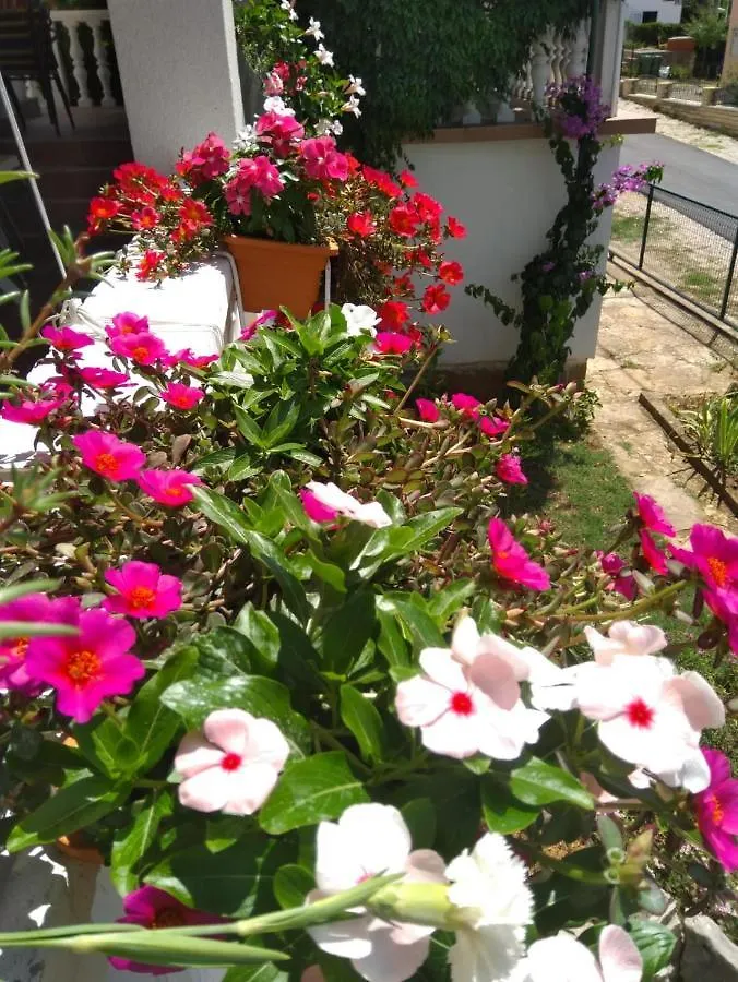 Apartment Ana Gornji Karin Croatia